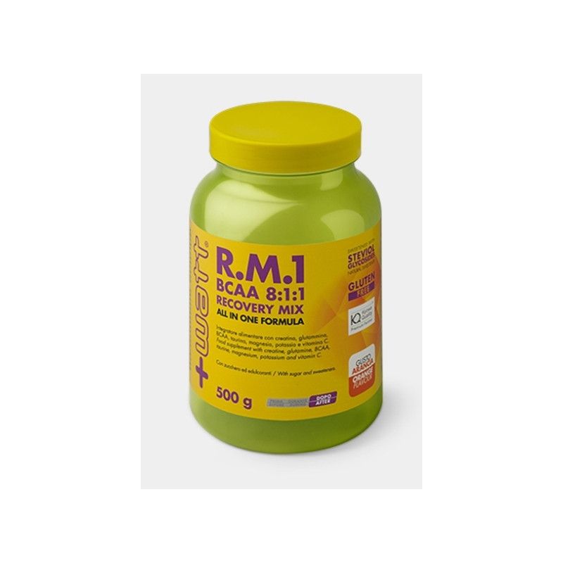 RM1 BCAA 811 RECOVERY MIX ARA + WATT