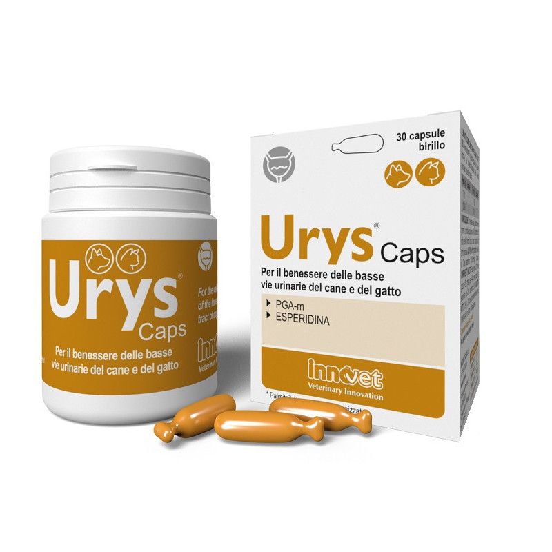 URYS CAPS 30CPS INNOVET