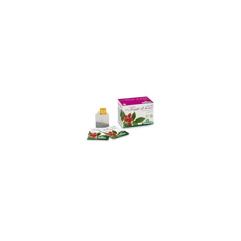 INFUSO BIO FRUTTA BOSCO 20FILT SPECCHIASOL