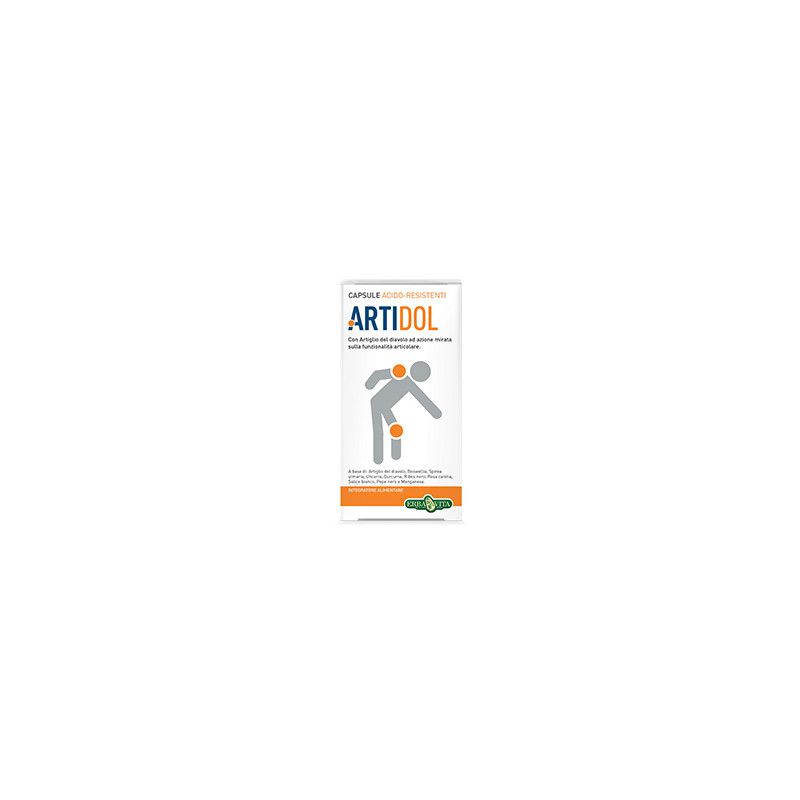 ARTIDOL GEL 100ML ERBA VITA