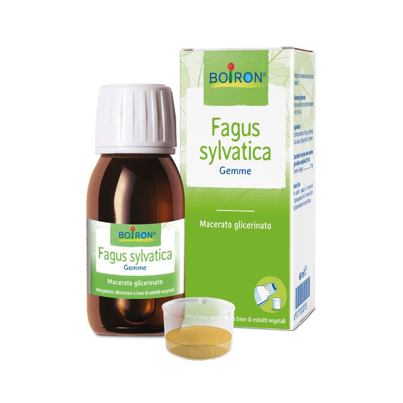 FAGUS SYLVATICA BOI MG60ML INT BOIRON