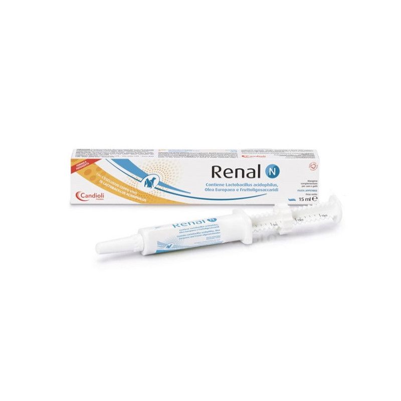 RENAL N PASTA 15ML RENAL