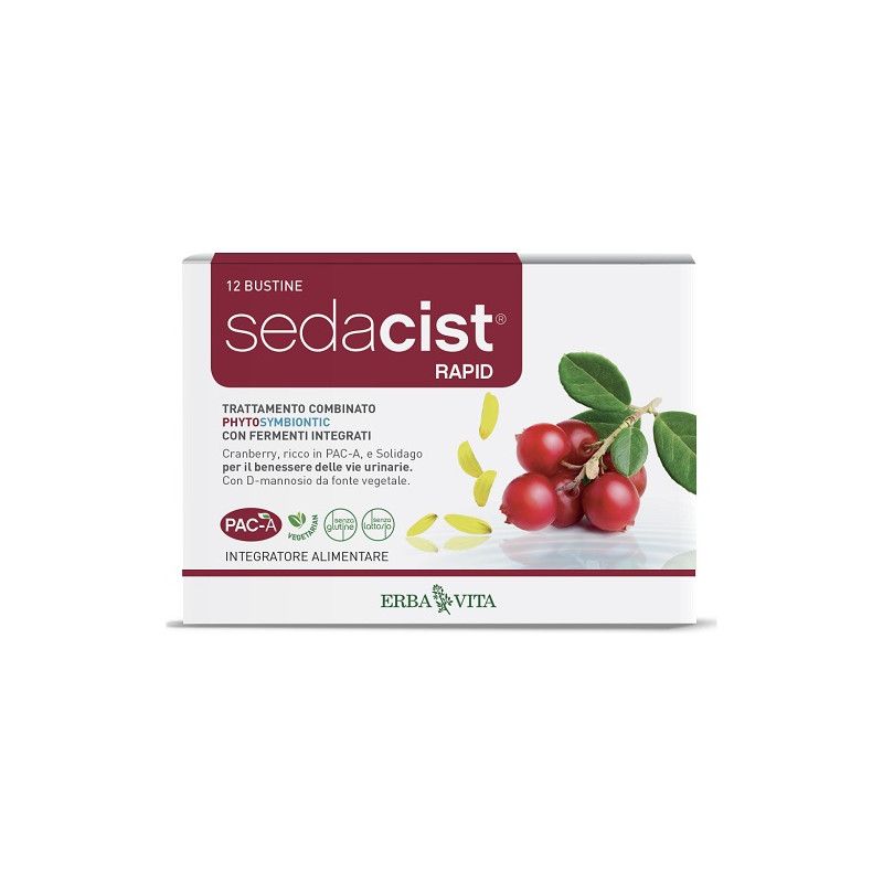 SEDACIST RAPID 6+6BUST 