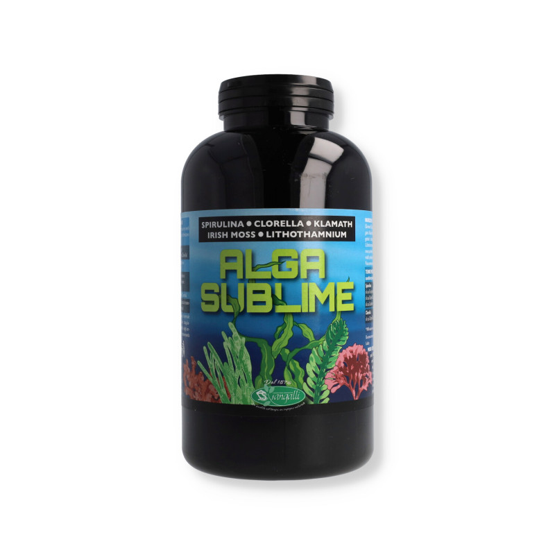 ALGA SUBLIME 500CPS SANGALLI