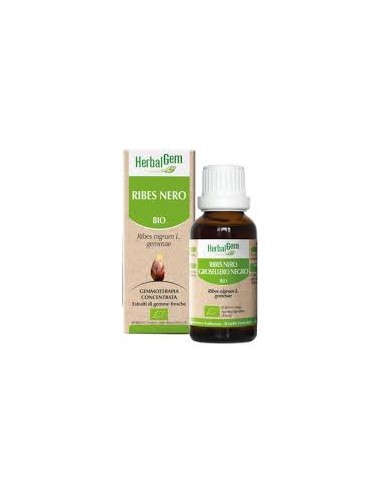 HERBALGEM MG BIO RIBES NE 15ML 